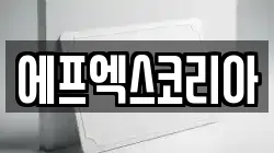 에프엑스코리아