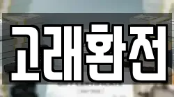 고래환전