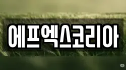 에프엑스코리아