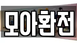 모아환전