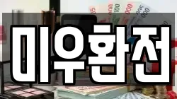 미우환전
