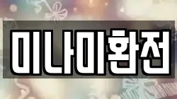 미나미환전