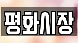 평화시장
