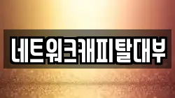 네트워크캐피탈대부