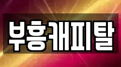 부흥캐피탈
