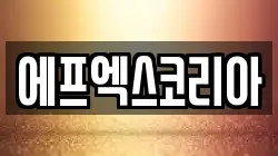 에프엑스코리아