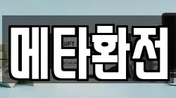 메타환전