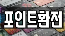포인트환전