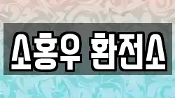 소홍우 환전소