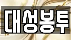 대성봉투