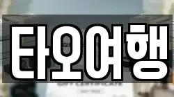 타오여행