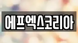 에프엑스코리아