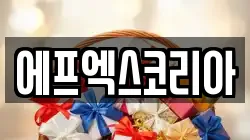 에프엑스코리아