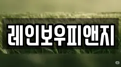 레인보우피앤지