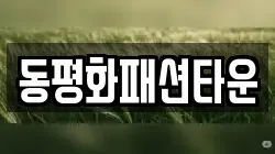 동평화패션타운