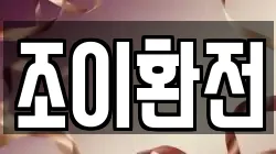 조이환전