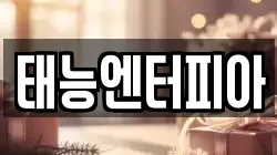 태능엔터피아