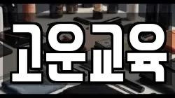 고운교육