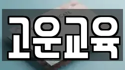 고운교육