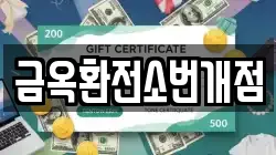 금옥환전소번개점