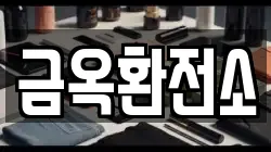 금옥환전소