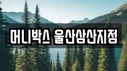 머니박스 울산삼산지점