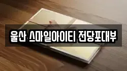 울산 스마일아이티 전당포대부
