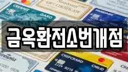 금옥환전소번개점