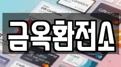 금옥환전소