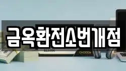 금옥환전소번개점