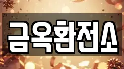 금옥환전소