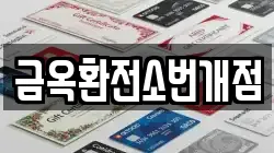금옥환전소번개점