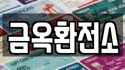 금옥환전소