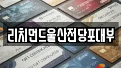 리치먼드울산전당포대부