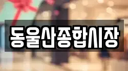울산광역시 동구 전당포, 상품권판매, 상품권매매, 환전