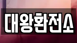 대왕환전소