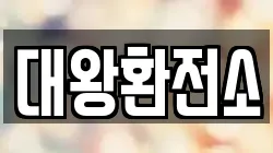 대왕환전소