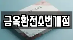 금옥환전소번개점