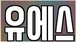 유에스
