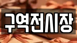 구역전시장