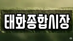 태화종합시장