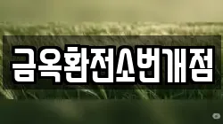 금옥환전소번개점