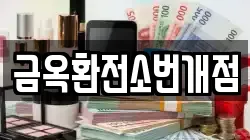 금옥환전소번개점