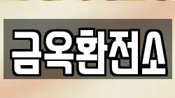 금옥환전소