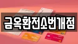 금옥환전소번개점