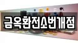 금옥환전소번개점