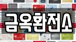 금옥환전소