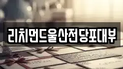 리치먼드울산전당포대부