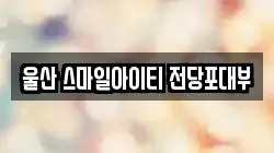 울산 스마일아이티 전당포대부