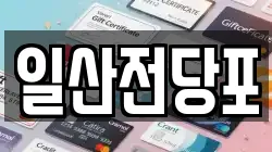 일산전당포